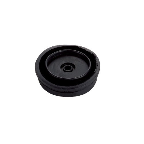 DIAPHRAGM