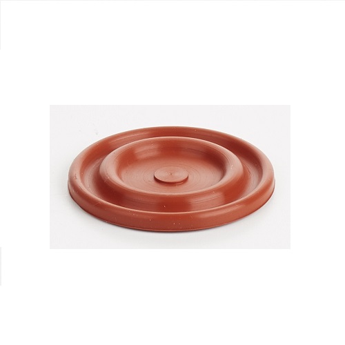 DIAPHRAGM