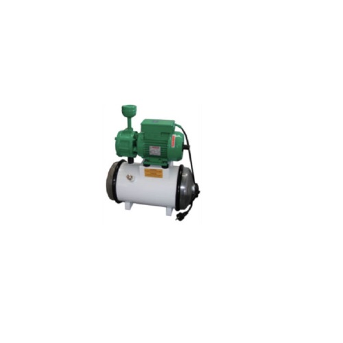 DRY VACUUM PUMP WITH ELECTRIC MOTOR