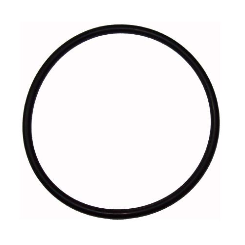 MAIN GASKET FOR SANITARY TRAP